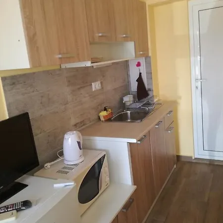 Apartament Mihailovi *