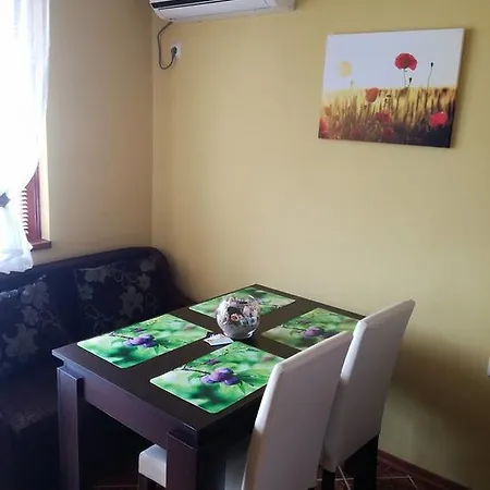 Apartament Mihailovi *